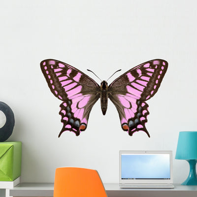 Red Pink Butterfly Machaon Wall Decal shown on a wall