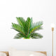 sago palm Wall Decal