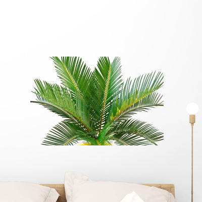 Sago Palm Wall Decal shown on a wall