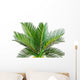 sago palm Wall Decal