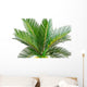 sago palm Wall Decal