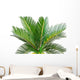 sago palm Wall Decal