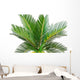 sago palm Wall Decal