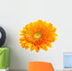 Perfect Orange Gerbera