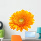 Perfect Orange Gerbera