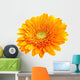 Perfect Orange Gerbera