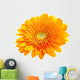 Perfect Orange Gerbera