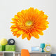 Perfect Orange Gerbera