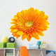 Perfect Orange Gerbera