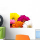 Gerber Daisies Wall Decal