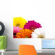 Gerber Daisies Wall Decal