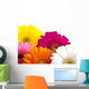 Gerber Daisies Wall Decal