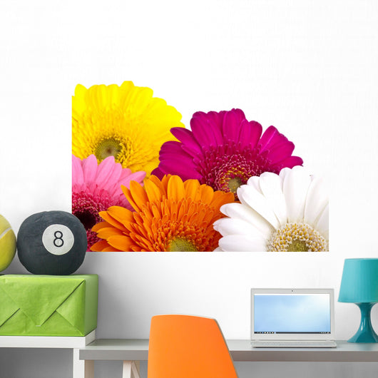 Gerber Daisies Wall Decal