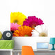 Gerber Daisies Wall Decal