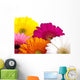 Gerber Daisies Wall Decal