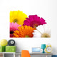 Gerber Daisies Wall Decal