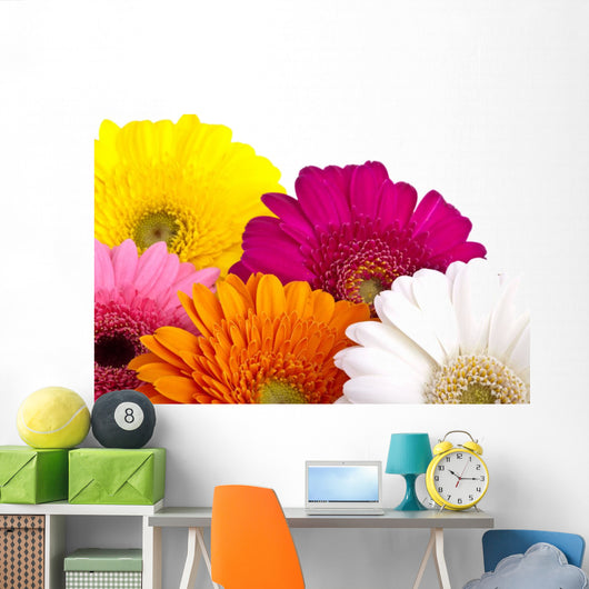 Gerber Daisies Wall Decal