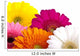 Gerber Daisies Wall Decal