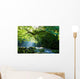 Virgin forest and mountain stream and crepuscular rays Virgin forest and shaft beam of light Wall Mural