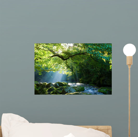 Az C Az Es Wall Decal