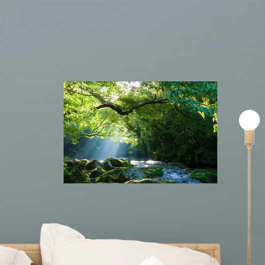 Az C Az Es Wall Decal