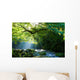 Virgin forest and mountain stream and crepuscular rays Virgin forest and shaft beam of light Wall Mural