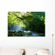 Virgin forest and mountain stream and crepuscular rays Virgin forest and shaft beam of light Wall Mural