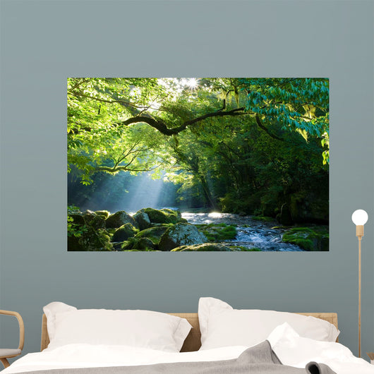 Az C Az Es Wall Decal