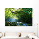 Virgin forest and mountain stream and crepuscular rays Virgin forest and shaft beam of light Wall Mural