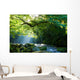 Virgin forest and mountain stream and crepuscular rays Virgin forest and shaft beam of light Wall Mural
