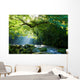 Virgin forest and mountain stream and crepuscular rays Virgin forest and shaft beam of light Wall Mural