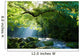 Virgin forest and mountain stream and crepuscular rays Virgin forest and shaft beam of light Wall Mural