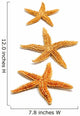 starfishes Wall Decal