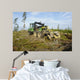 Forest Clearing with Giant