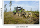Forest Clearing with Giant