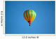 Balloon