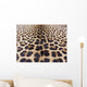 Leopard Skin Wall Mural