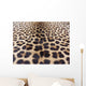 Leopard Skin Wall Mural