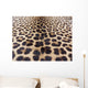 Leopard Skin Wall Mural