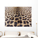 Leopard Skin Wall Mural