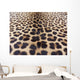 Leopard Skin Wall Mural
