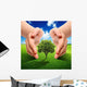 Accudiamo Nature Wall Decal