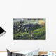 Foglie D'ulivo Wall Decal