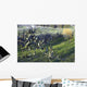 Foglie D'ulivo Wall Decal