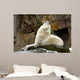 Howling Wolf Wall Decal