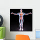 body Wall Mural