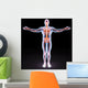 body Wall Mural