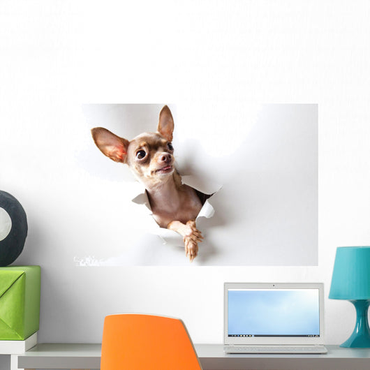 Funny little dog on white Wall Decal