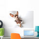 Funny little dog on white Wall Decal