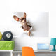 Funny little dog on white Wall Decal